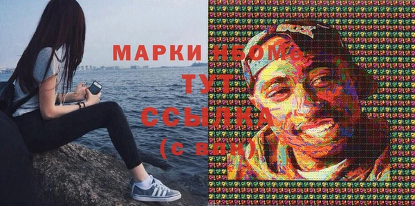 дмт Губаха