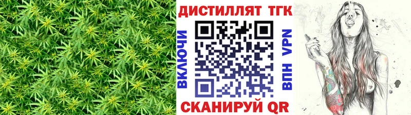 где найти наркотики  блэк спрут зеркало  ТГК гашишное масло  Закаменск 